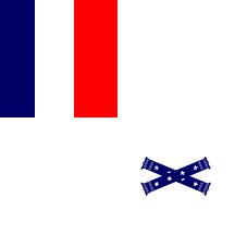 [Marshal of France's standard]